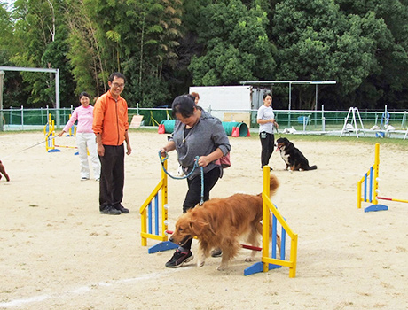 アジリティ教室 犬のしつけ 訓練 泉佐野 和歌山 関空ペットグループ
